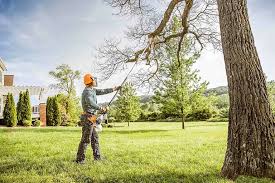 Best Lawn Pest Prevention  in Willow Grove, PA